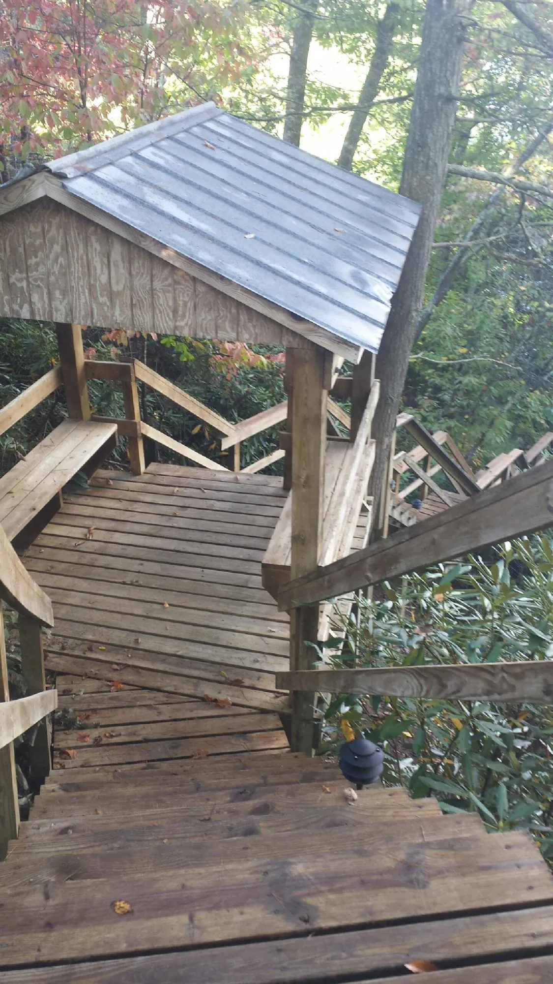 Metal roofed shelter over wooden steps on a wooded walkway — Skylight Repair & Installation work by our crew in Seattle