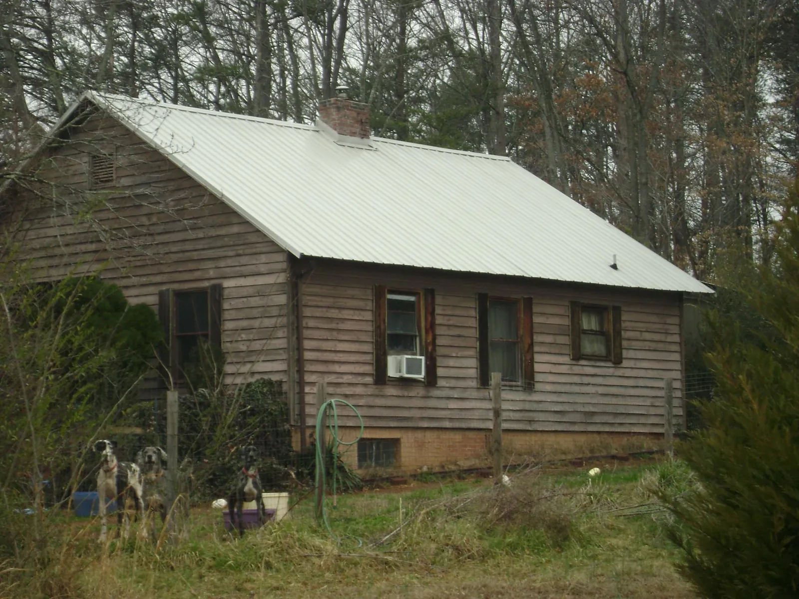 White metal roof on an old wood sided farmhouse, from a Metal Roof Installation job in Seattle